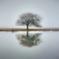 A FUNDAÇÃO LAR HARMONIA