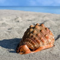 CONSCIÊNCIA E INCONSCIENTE, COMO APLICAR NA VIDA PRÁTICA