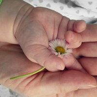 MEDIUNIDADE E O USO RESPONSÁVEL