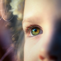 NINGUÉM PODERÁ VER O REINO DE DEUS SE NÃO NASCER DE NOVO CAP.IV