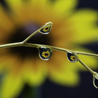 RELIGIÃO E RELIGIOSIDADE