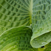 JUSTIÇA DIVINA E AMOROSIDADE