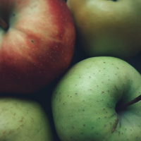 PREDISPOSIÇÕES, TENDÊNCIAS E DESTINO