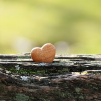 NA PRESENÇA DO AMOR