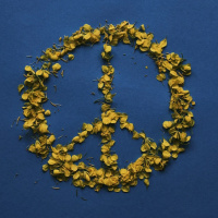 SENTIMENTOS FRATERNOS