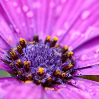 SIMBOLOS, COMO APLICAR NA VIDA PRÁTICA