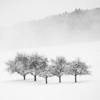 RELIGIÃO E ESPIRITISMO