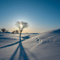 PSICOLOGIA E ESPIRITUALIDADE