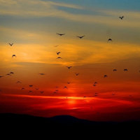 VIVER COMO ESPÍRITO