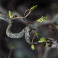 O ESPIRITUAL E AS RELIGIÕES