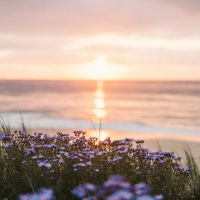 CONVERSANDO COM ESPÍRITOS