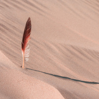 PRAGMATISMO ESPIRITUAL