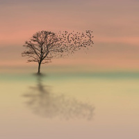 A MORTE E OS CICLOS DA VIDA