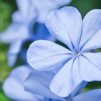 ARQUÉTIPOS, ESTUDO TEÓRICO
