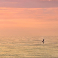 SENTIDO E SIGNIFICADO DA VIDA