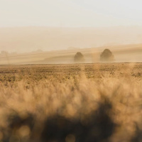 FILOSOFIA E ESPIRITUALIDADE