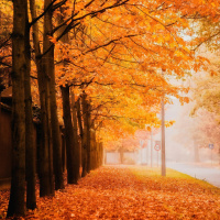 MOTIVAÇÕES PARA VIVER