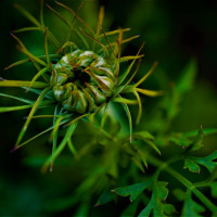 CONSTRUINDO UM NOVO PERSONAGEM