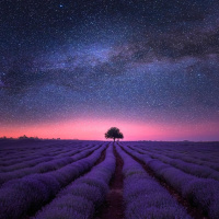 LIDANDO COM A PROXIMIDADE DA MORTE