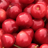 A PERSONALIDADE ÓTIMA