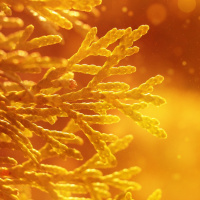 EU SOU UM ESPÍRITO, USO UMA MENTE E UM CORPO FÍSICO