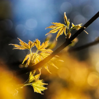 FILOSOFIA E ESPIRITUALIDADE