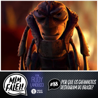 Mim Falei! #88 – Por que os Gafanhotos desviaram do Brasil?
