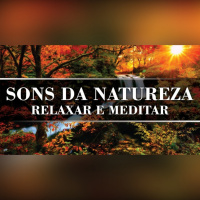 Música com Sons da Natureza para Meditar e Relaxar | Sons de Pássaros na Floresta com Àgua corrente