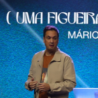 #469 - Uma Figueira Disfuncional (Mário Rui Boto)