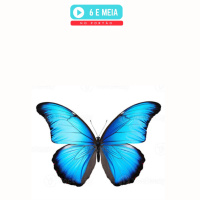 EP.430 - A rapariga da tatuagem da borboleta e Secret Story. 