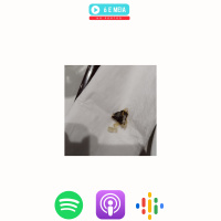 Ep.302 - Vidro com sushi