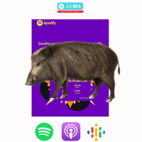 Ep.257 - Não faças festas a javalis