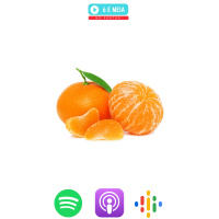 Ep.206 - Jimo é qualidade comprovada