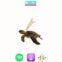 Ep.271 - Salvem as tartarugas 