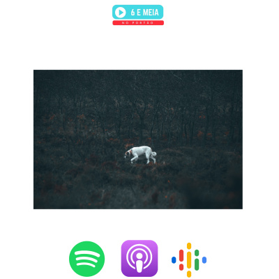 Às 6 E Meia No Portão