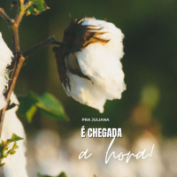 Pra. Juliana - É Chegada a Hora - 14-04-2024