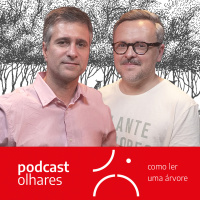 O Que as Árvores nos Contam , com o biólogo e botânico Anderson Santos, EP#36