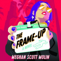 Frame-Up Audiobook