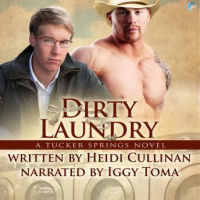 Dirty Laundry: A Tucker Springs Novel Audiobook