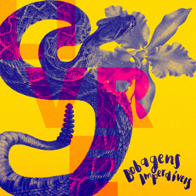 Bobagens Imperdíveis