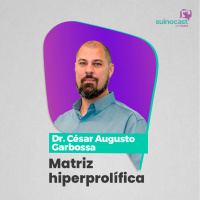 MATRIZ HIPERPROLÍFICA - PhD. César Augusto Garbossa | Ep. 385