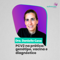 PCV2 NA PRÁTICA: GENÓTIPO, VACINA E DIAGNÓSTICO - Dra. Danielle Gava | Ep. 384