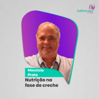 NUTRIÇÃO NA FASE DE CRECHE - Maurício Prata | Ep. 356