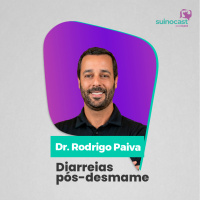 DIARREIAS PÓS-DESMAME - Dr. Rodrigo Paiva | Ep. 386