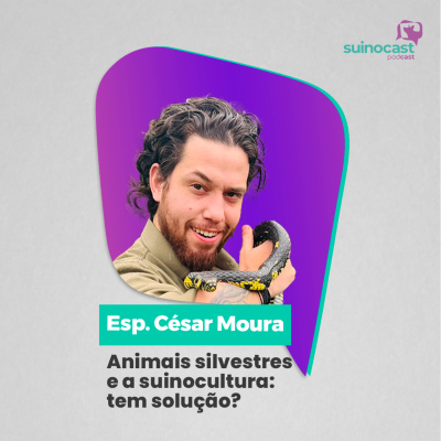 Suinocast