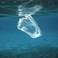 Poluição dos oceanos é uma das questões que mais preocupa a ONU e o Greenpeace