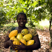 Comunidade quilombola do Vale do Ribeira desenvolveu um sistema agrícola sem adubo ou agrotóxicos
