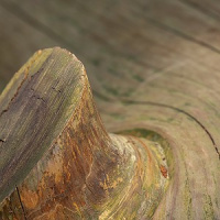 Prefeitura de SP lança o programa municipal “Mobiliário Ecológico”