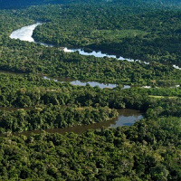 Desmatamento na Amazônia reflete diretamente no clima da região