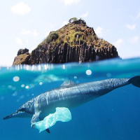 Quantidade de plástico nos oceanos pode superar a de peixes em 30 anos